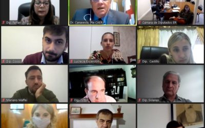 El CAER apoya la creación del Sistema de Información Legislativa